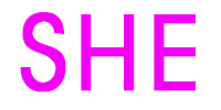 SHE logosu