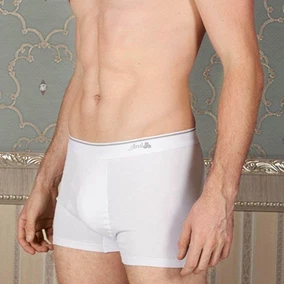 Anıl Erkek Pamuklu Geniş Bel Lastikli Klasik Bokser Anıl 0066 - Alternatif Görünüm