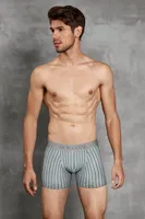Baskılı Erkek Boxer Doreanse 1864