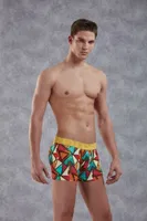 Doreanse 1873 Geometrik Desenli Boxer Prisma farklı açı