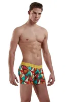 Doreanse 1873 Geometrik Desenli Boxer Prisma