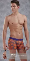 Doreanse 1897 Cotton Boxer görsel 4