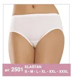 Erdem Penye Lastikli Bato Külot 2501 Beyaz görsel 4