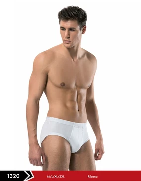 Erdem Erdem Ribana Bantlı Erkek Slip 1320 - Alternatif Görünüm