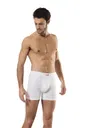 Hmd Erkek Boxer 300