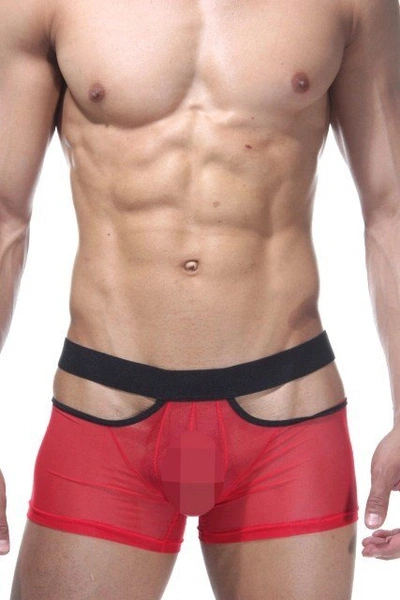 La Blinque Erkek Tül Boxer 15184