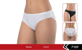 Pamuk Elastan Arka Dantelli Bikini Külot Erdem 7109 - Alternatif Görünüm