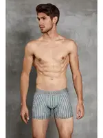 Baskılı Erkek Boxer Doreanse 1864 Görsel