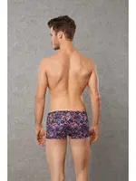 BOXER Doreanse 1862 detay görünüm