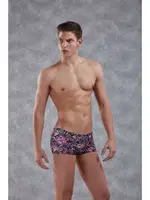 BOXER Doreanse 1862 Görsel