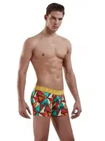 Doreanse 1873 Geometrik Desenli Boxer Baskılı