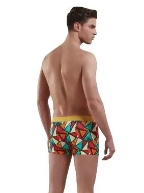 Doreanse Doreanse 1873 Geometrik Desenli Boxer - Alternatif Görünüm