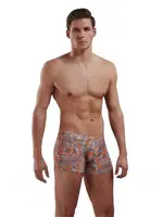 Doreanse 1895 Boxer Baskılı