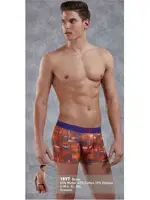 Doreanse 1897 Cotton Boxer Baskılı görsel 4