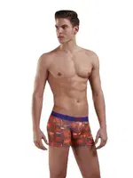 Doreanse 1897 Cotton Boxer Baskılı