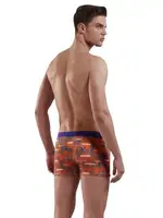 Doreanse 1897 Cotton Boxer Baskılı detay görünüm