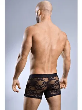 Doreanse Doreanse 1952 Boxer - Alternatif Görünüm