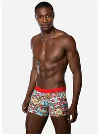 Doreanse Doreanse Boxer 1885