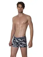 Doreanse Boxer 1888 Baskılı