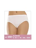 Erdem Penye Lastikli Bato Külot 2501 Beyaz görsel 4