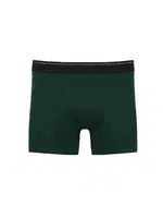 Erkek Boxer NBB 737 Koyu Yeşil farklı açı