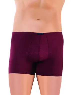 Öztaş Erkek Modal Boxer Katlama Lastik İkili Paket Öztaş YE1990 - Alternatif Görünüm