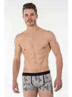 Kom Duff Boxer farklı açı