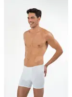 Kom Toscano Boxer farklı açı