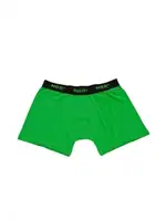 Modal Erkek Boxer NBB 735 Yeşil görsel 9