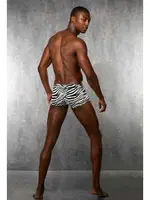 Zebra Boxer Doreanse 1795 detay görünüm