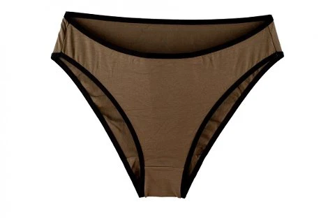 Akbeniz Bayan Slip Külot 21252