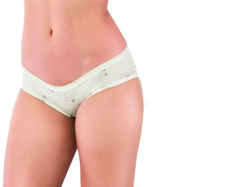 Bayan Lycralı Desenli Hıpster 4 Lü Paket Öztaş H2752