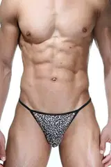 La Blinque Leopar Erkek Tanga 15246