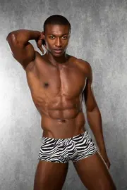 Zebra Boxer Doreanse 1795