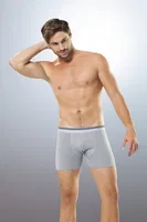 Anıt Çizgili Licralı Erkek Boxer 1252 Gri görsel 5