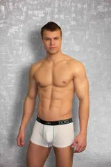 Doreanse Boxer 1733