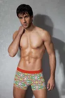 Doreanse Boxer 1885 Baskılı farklı açı