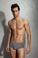Doreanse Doğal Modal Erkek Boxer 1705 Füme farklı açı