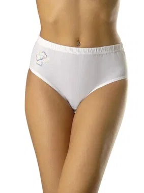 Anıt Anıt Bayan Yüksek Bel Külot 6'lı Paket 3127 - Alternatif Görünüm