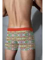 Doreanse Boxer 1885 Baskılı görsel 4