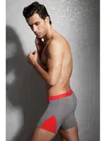 Doreanse Doğal Modal Erkek Boxer 1754 Füme görsel 5