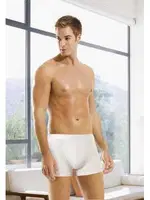 Öztaş Erkek Likralı Boxer A1717 görsel 9