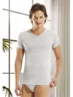 Öztaş Erkek Ribana V Yaka A1062 Gri farklı açı