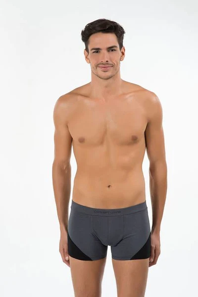 Kom Erkek Boxer - Concept