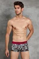 Doreanse Erkek Boxer 1712 Kaplan
