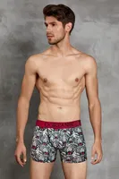 Doreanse Erkek Boxer 1812 Kaplan