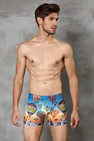 Doreanse Erkek Boxer 1819 Cappadocia
