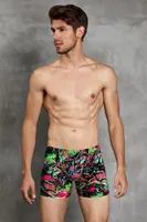 Doreanse Erkek Boxer 1821 Hülya Uçuşu