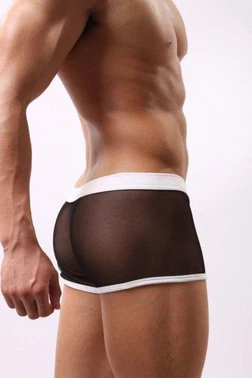 Merry See Merry See Erkek Siyah Beyaz Transparan Boxer - Alternatif Görünüm