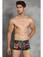 Doreanse Erkek Boxer 1751 Hülya Uçuşu